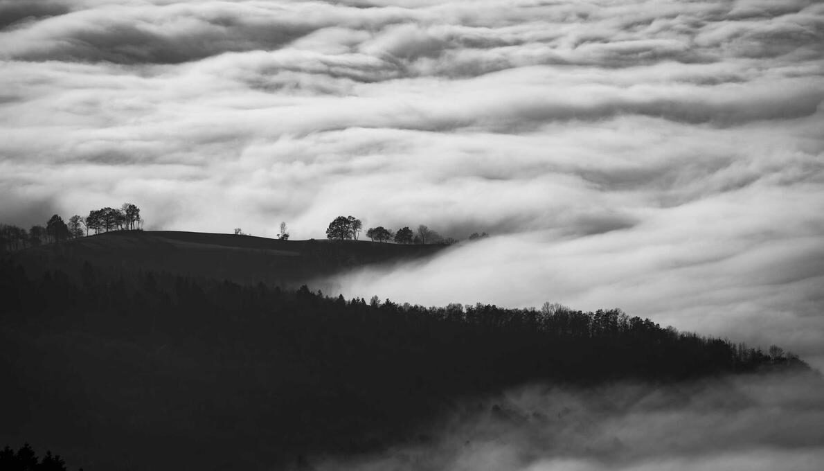 Aut eos nesciunt nam mollitia libero