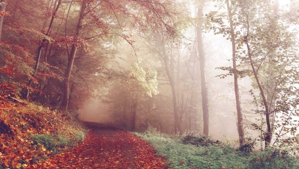 Dolor consequatur ipsam enim