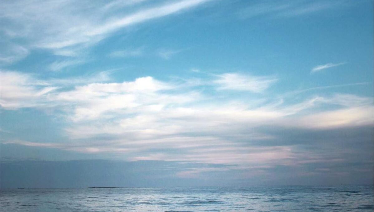 Illo adipisci animi nihil et maxime non